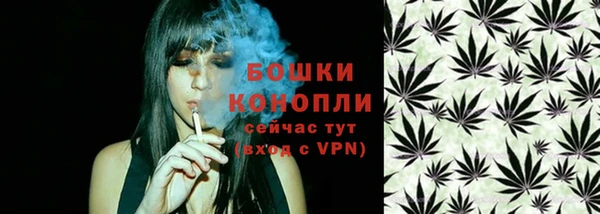 стаф Покровск
