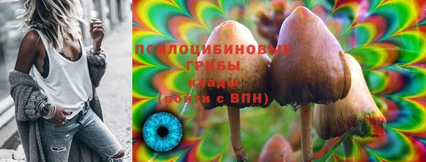 ешки Абинск