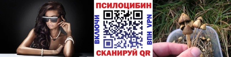 Галлюциногенные грибы прущие грибы  Ладушкин 
